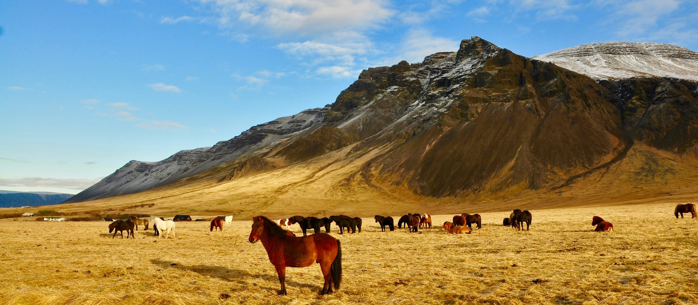 iceland — gallery photo 3