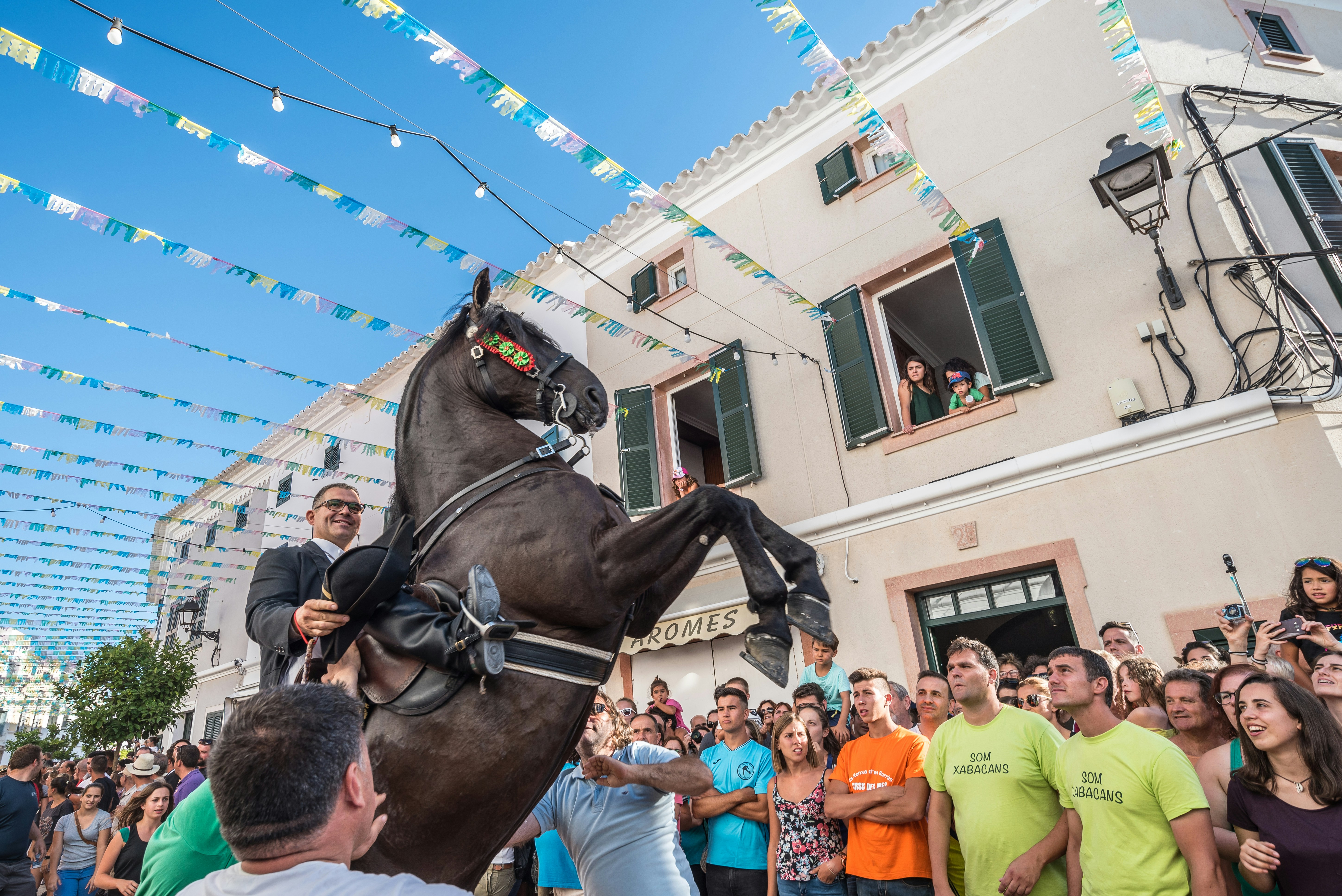 Black Menorquin horse on a coastal trail, Menorca