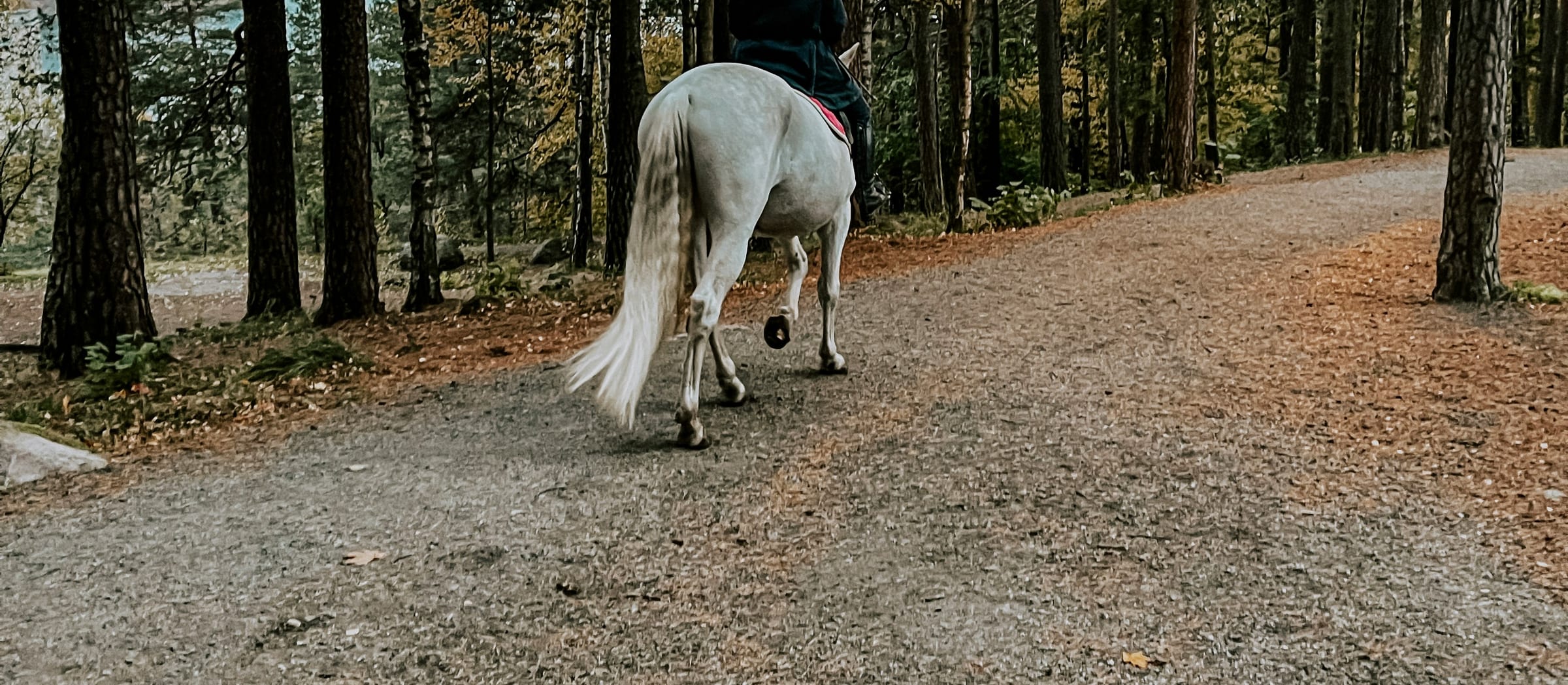 norway — gallery photo 2