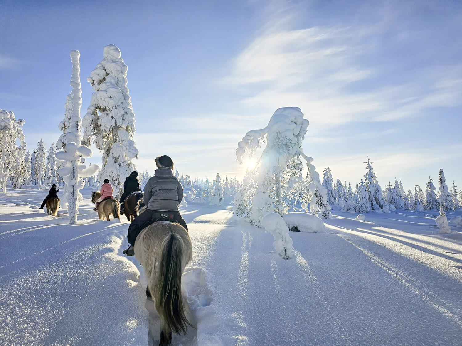 Riders on a snow-laden forest trail in winter