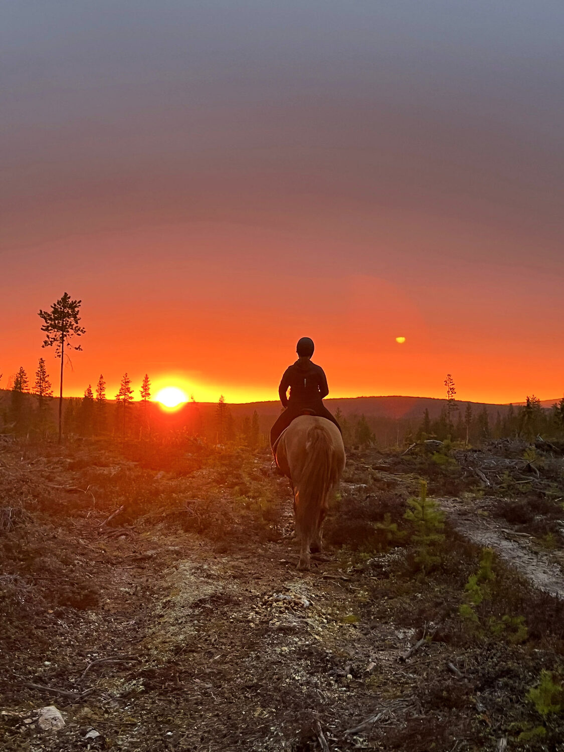 A rider silhouetted against the Lapland midnight sun