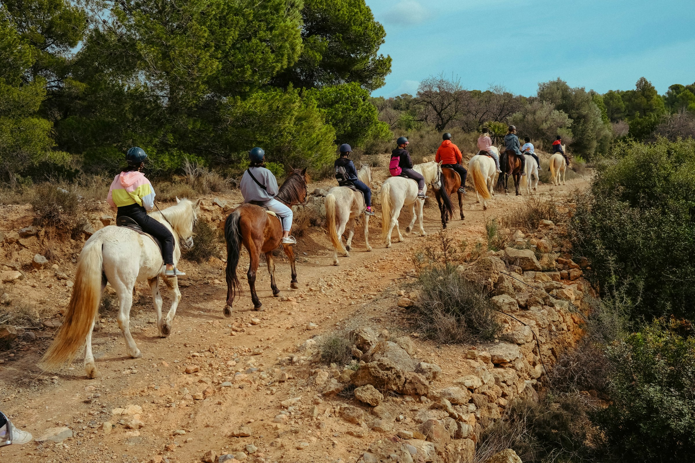 Andalusian horse and rider performing classical dressage in Spain