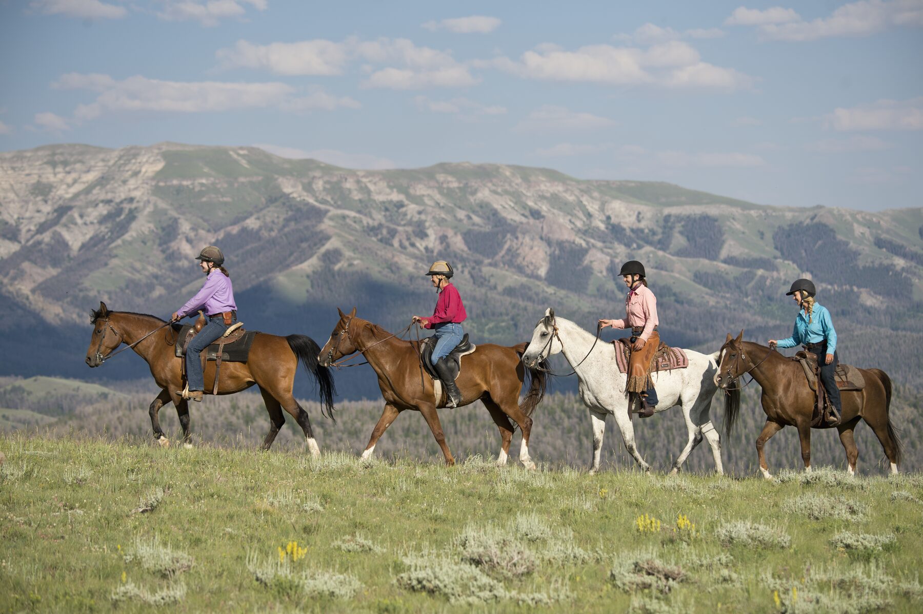 Shoshone National Forest Riding Week — photo 4