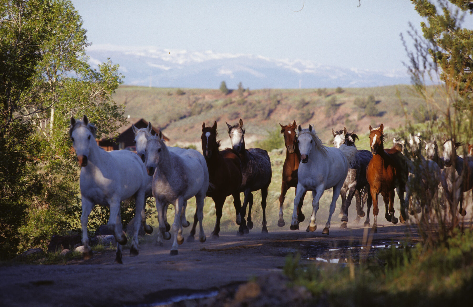 Shoshone National Forest Riding Week — photo 5