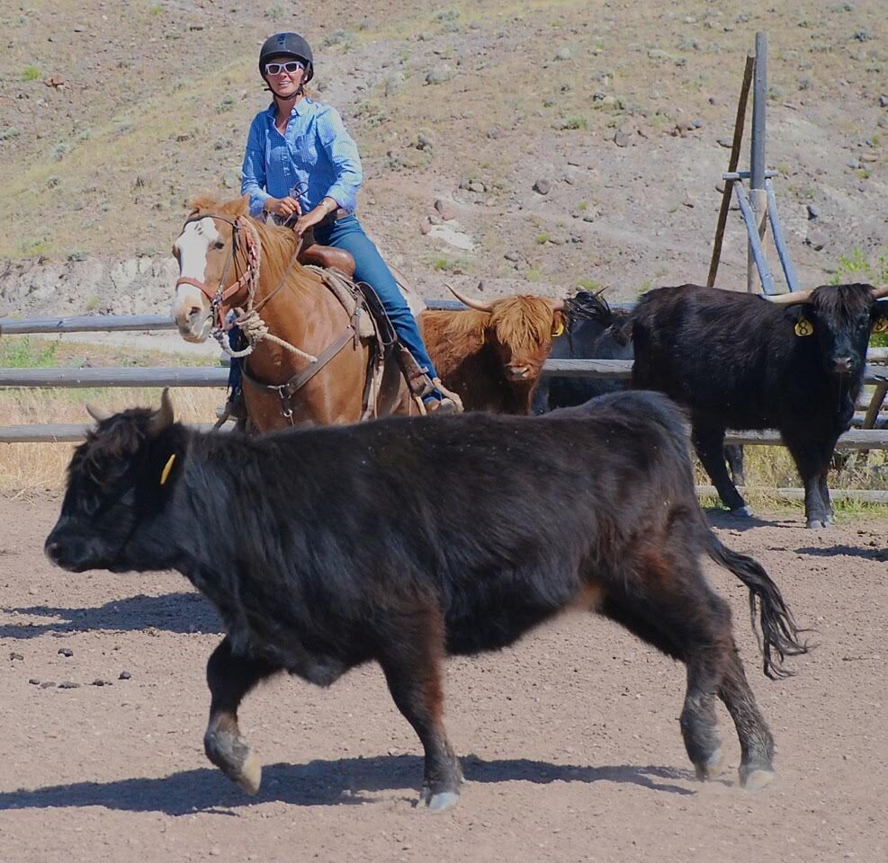 Shoshone National Forest Riding Week — photo 7