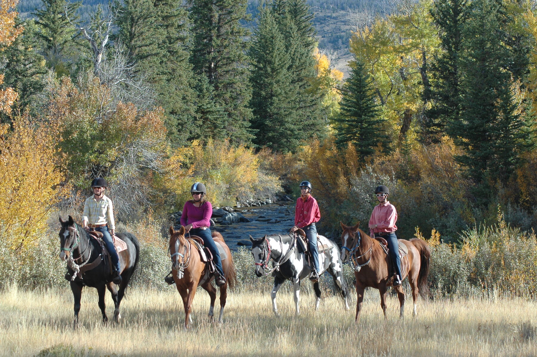 Shoshone National Forest Riding Week — photo 8