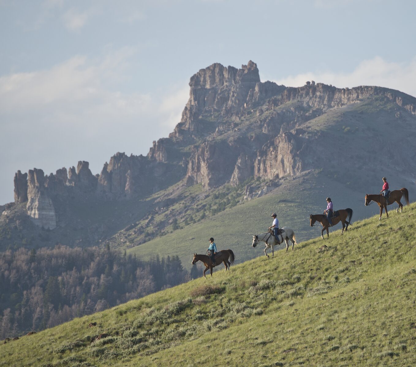 Shoshone National Forest Riding Week — photo 9