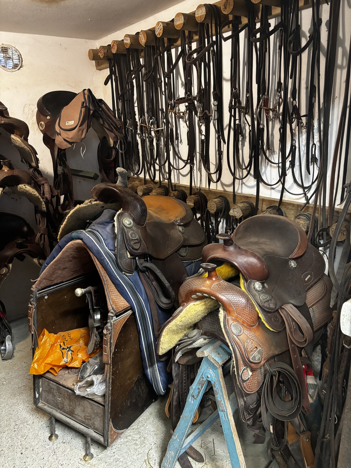 Western saddles and bridles in the tack room