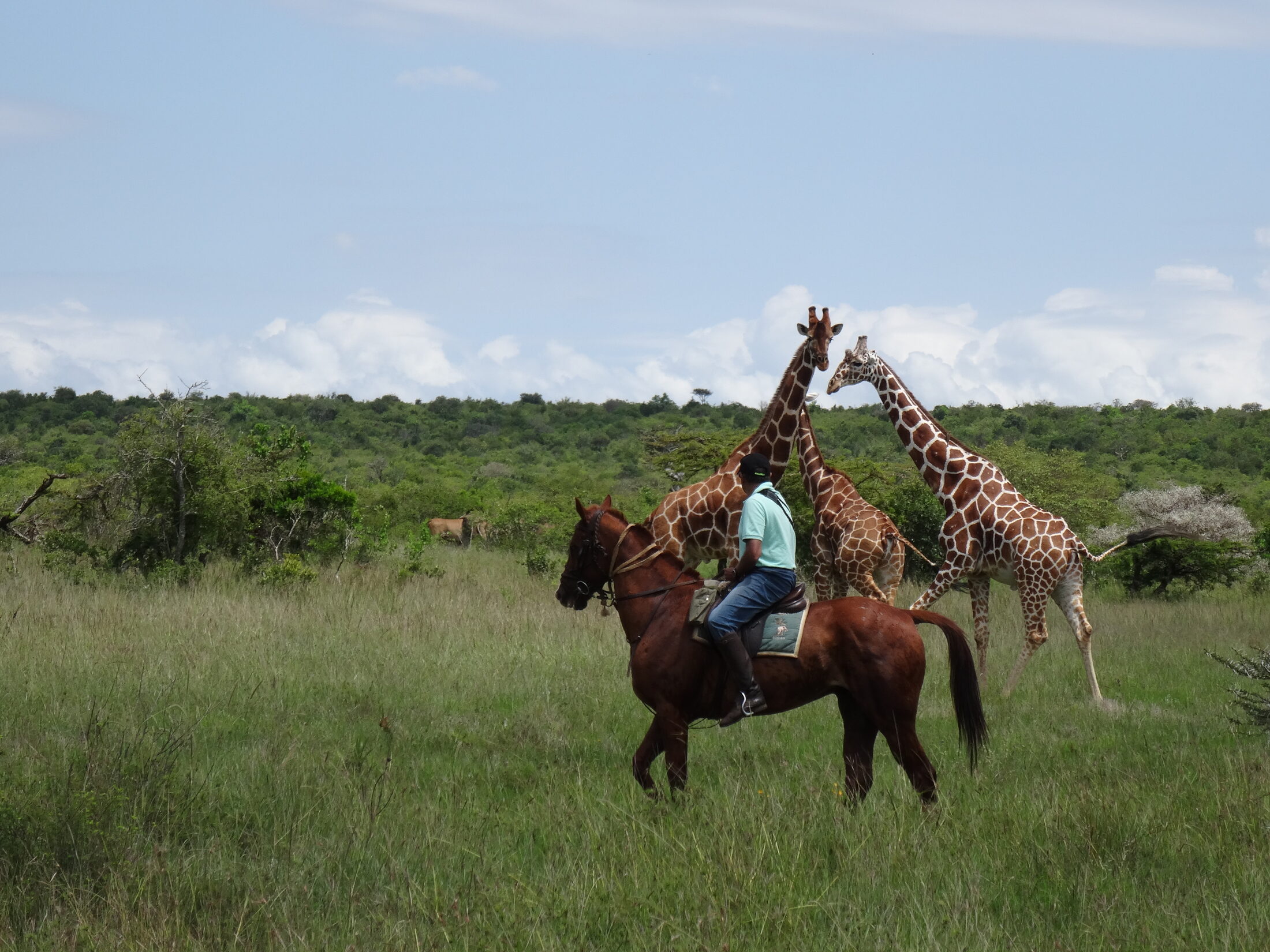 Laikipia Plateau Riding Safari — photo 2