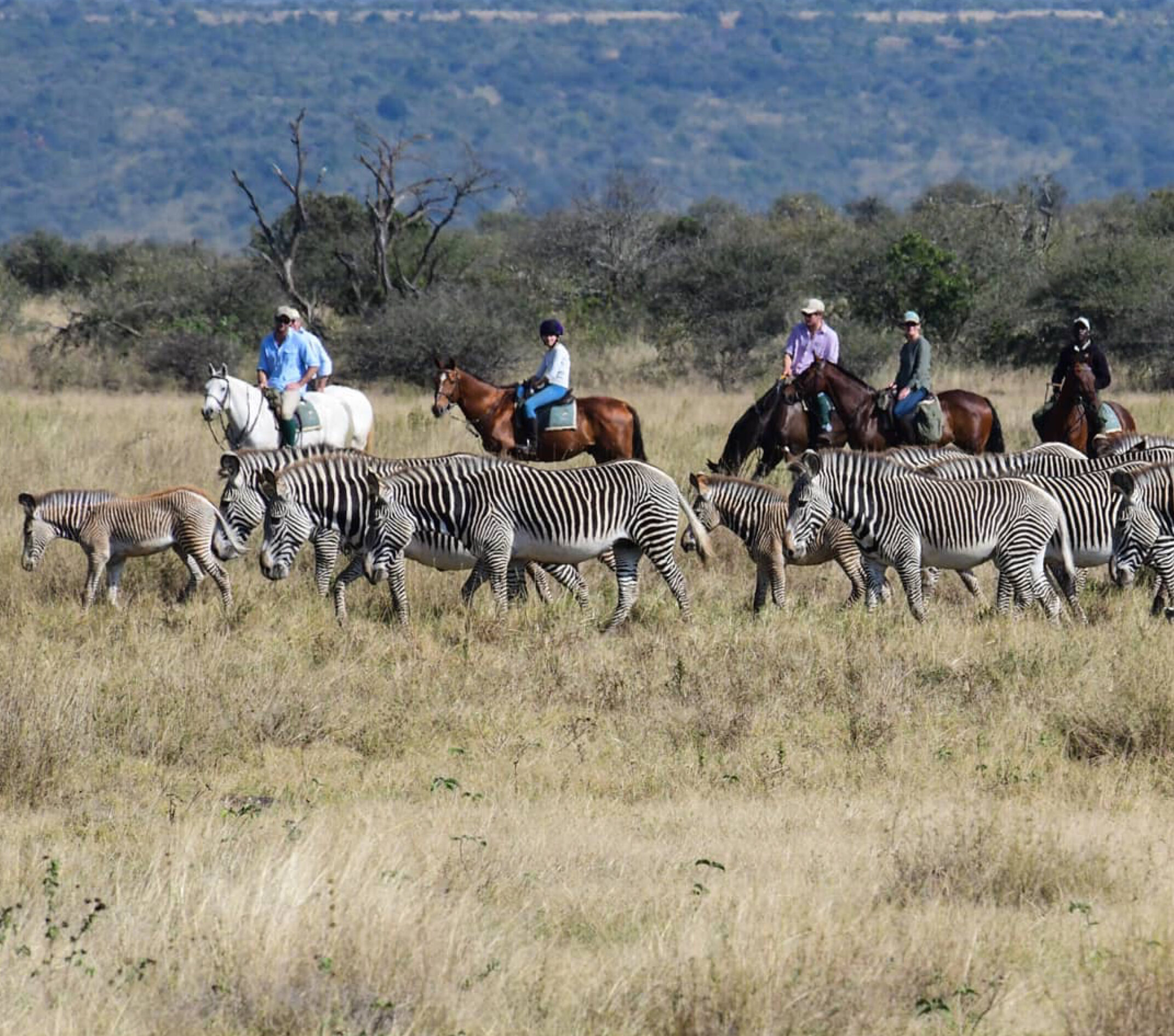 Laikipia Plateau Riding Safari — photo 4