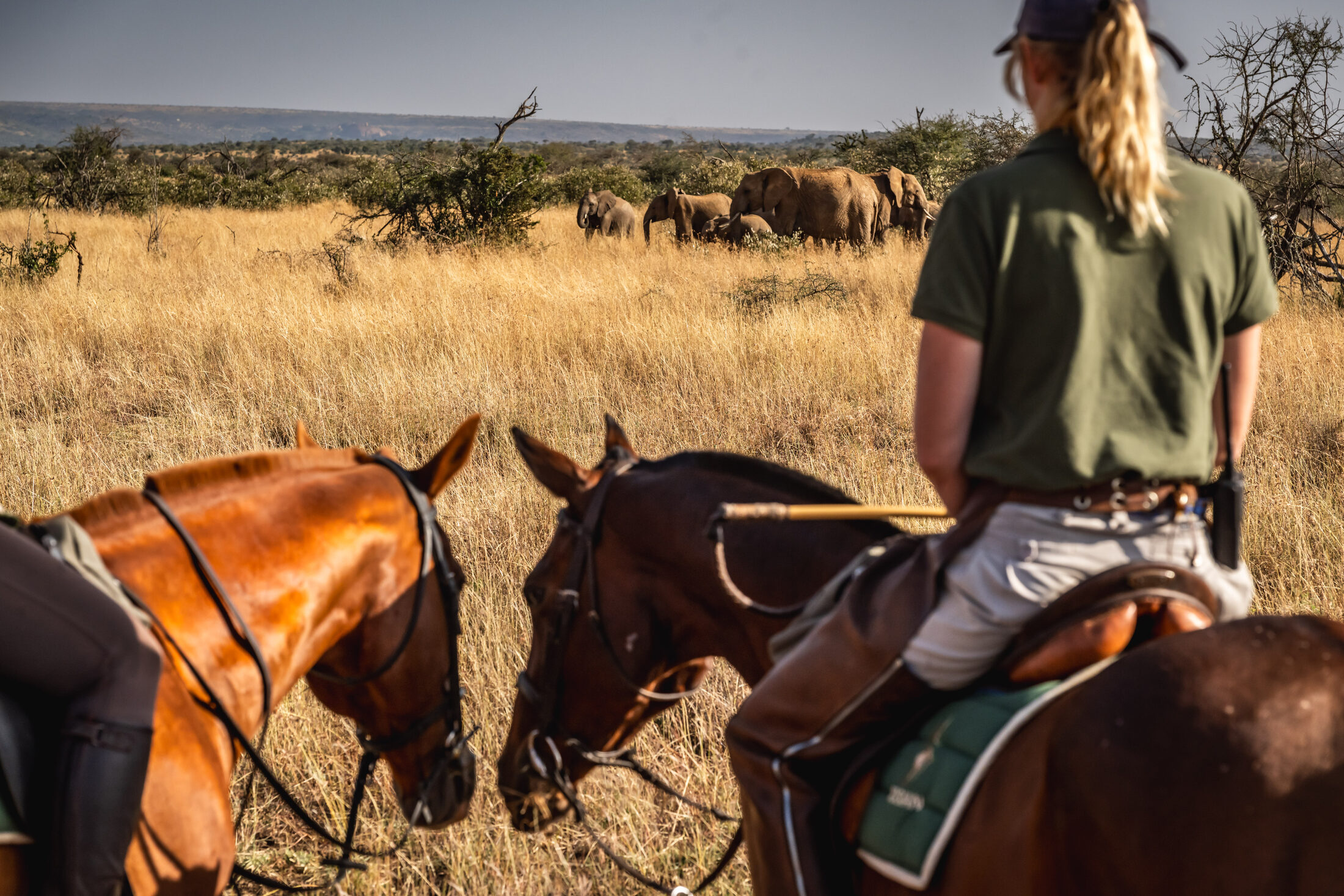 Laikipia Plateau Riding Safari — photo 8