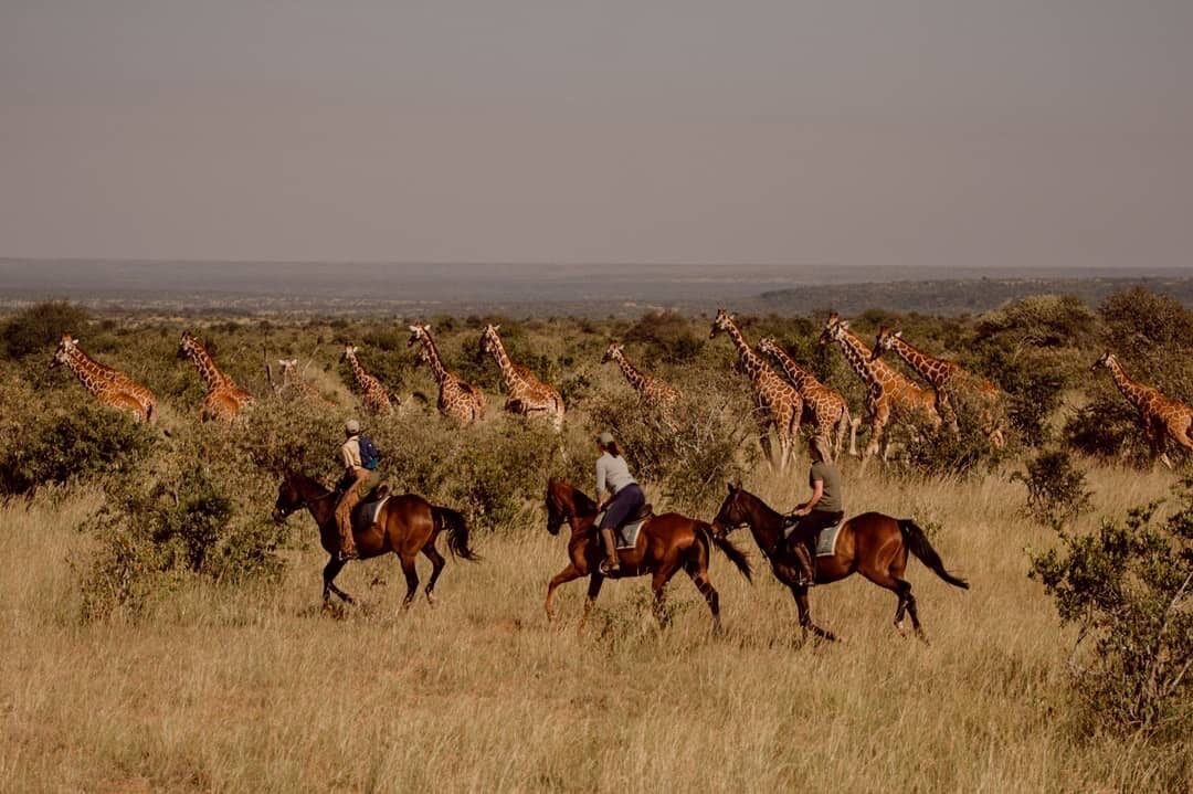 Laikipia Plateau Riding Safari — photo 9