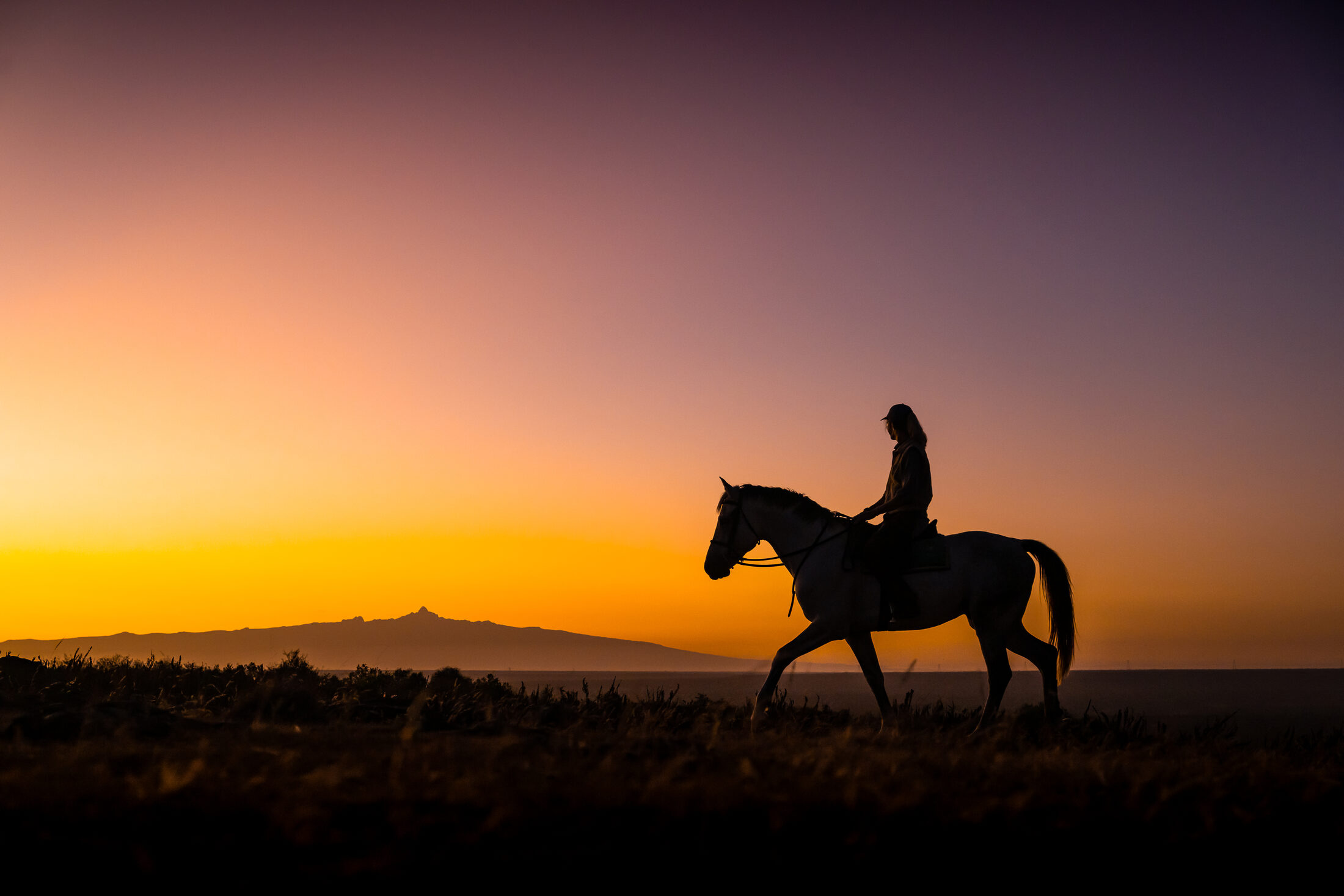 Laikipia Plateau Riding Safari — photo 10