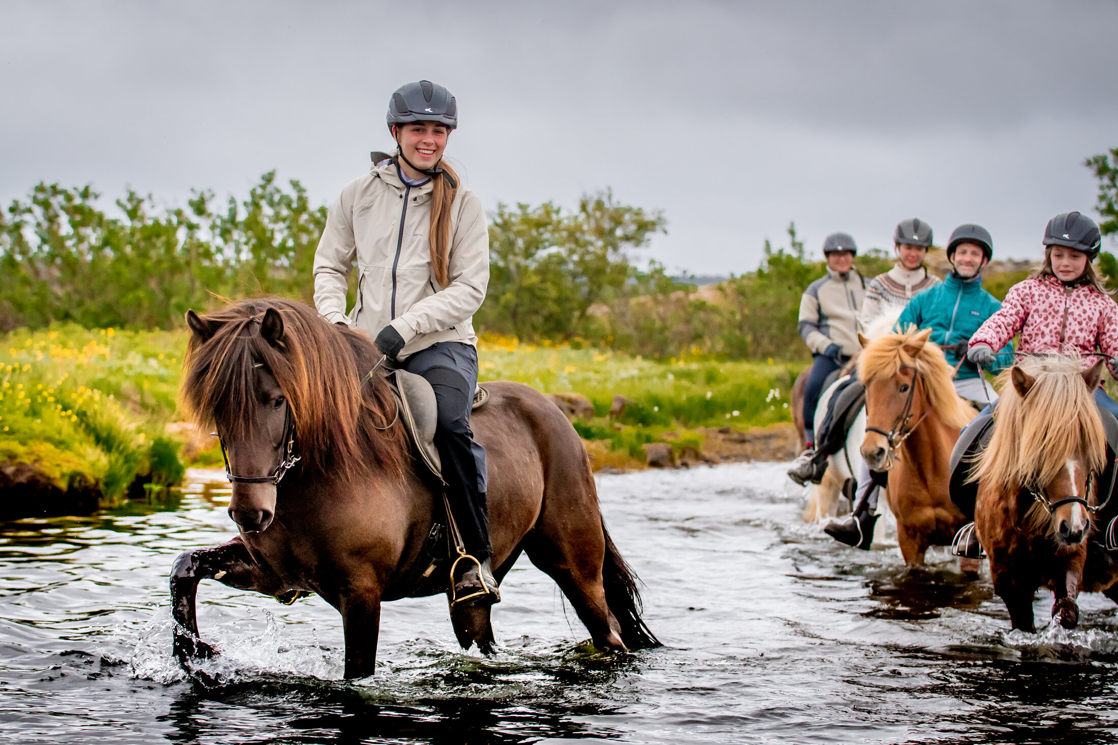 Icelandic Horse Tours from Reykjavik — photo 1
