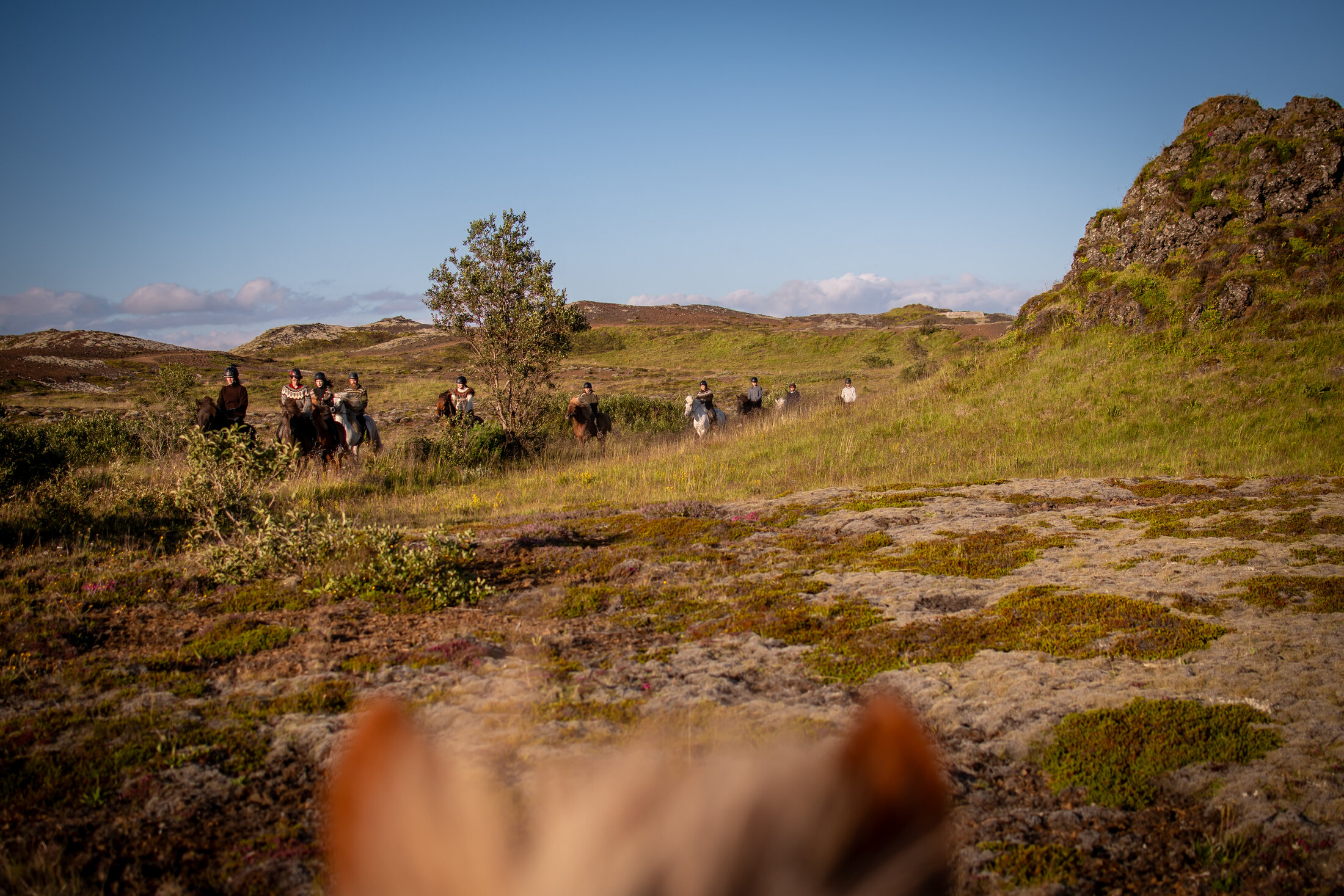 Icelandic Horse Tours from Reykjavik — photo 2