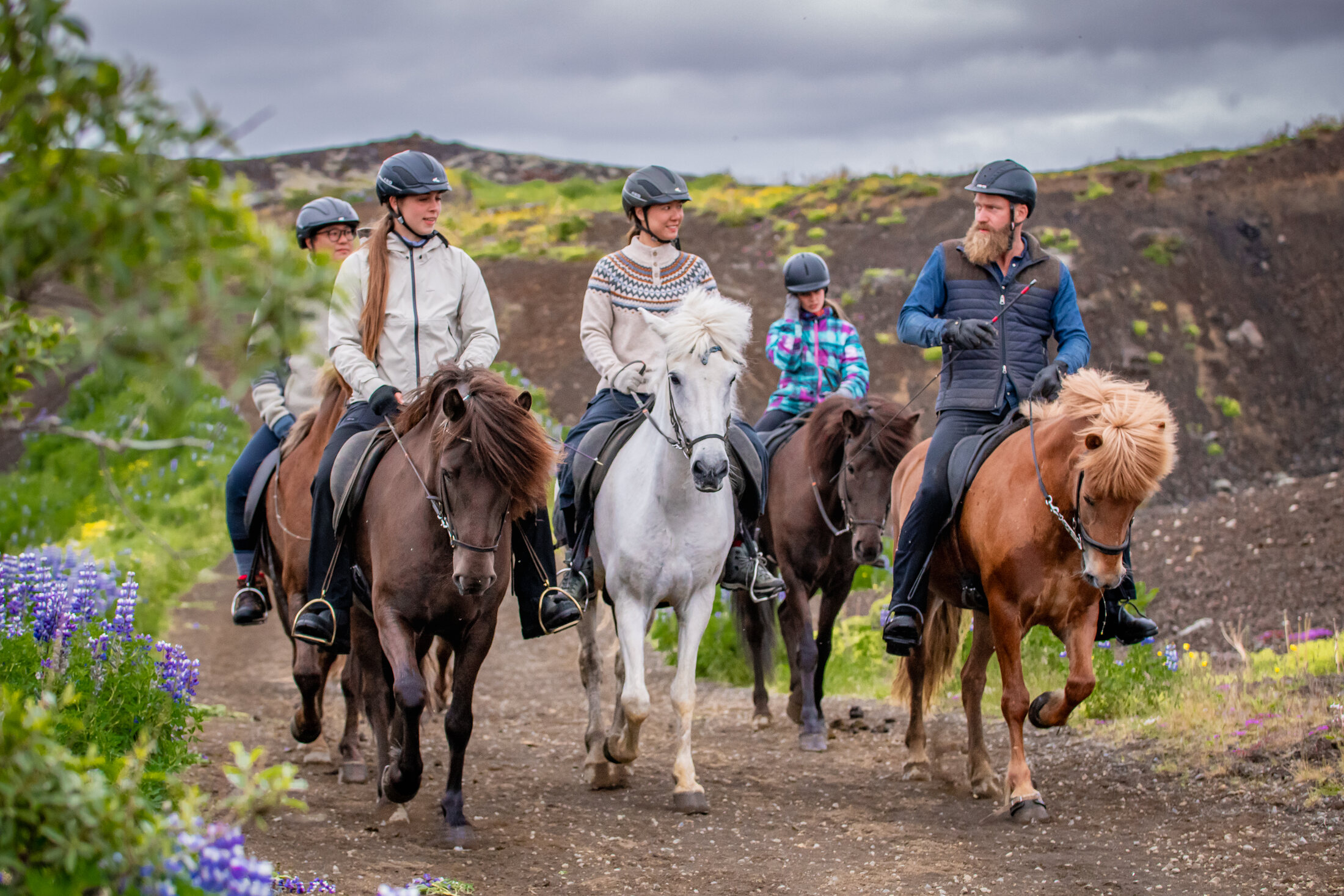 Icelandic Horse Tours from Reykjavik — photo 3