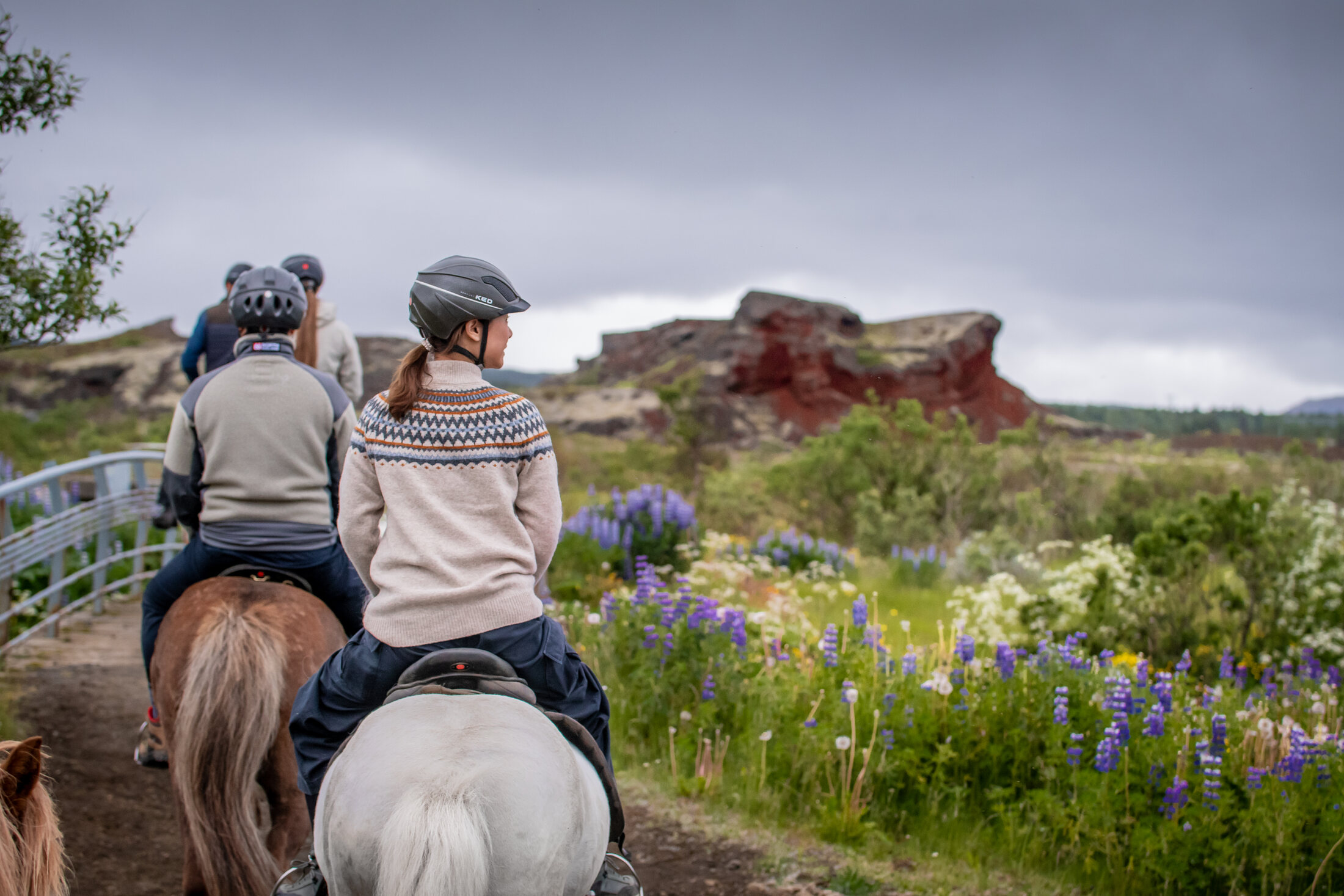 Icelandic Horse Tours from Reykjavik — photo 4