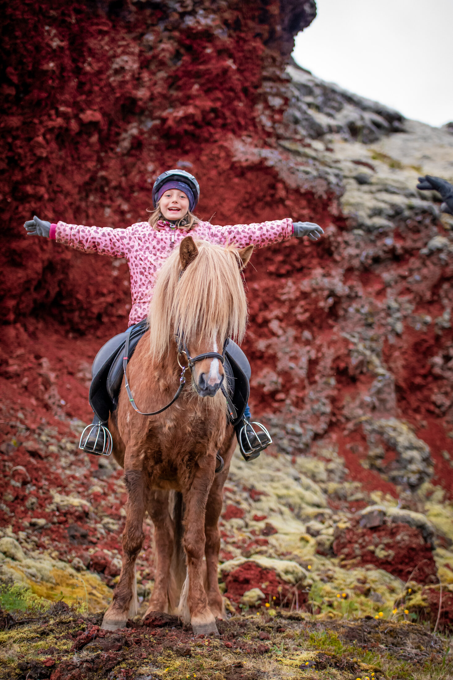 Icelandic Horse Tours from Reykjavik — photo 5