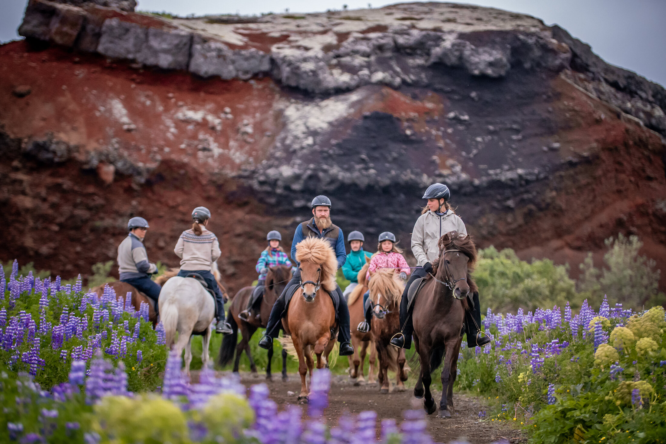 Icelandic Horse Tours from Reykjavik — photo 6