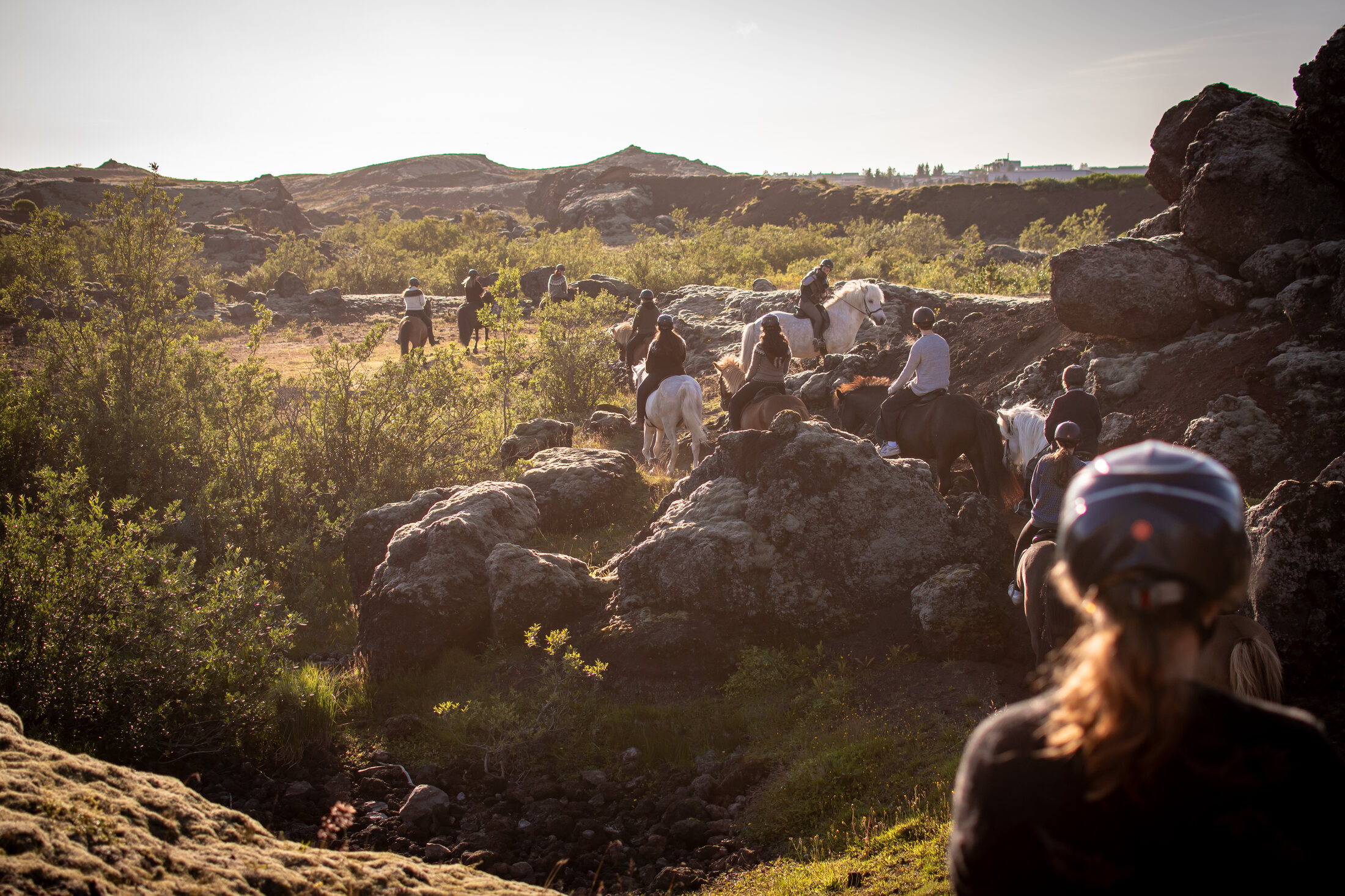 Icelandic Horse Tours from Reykjavik — photo 7