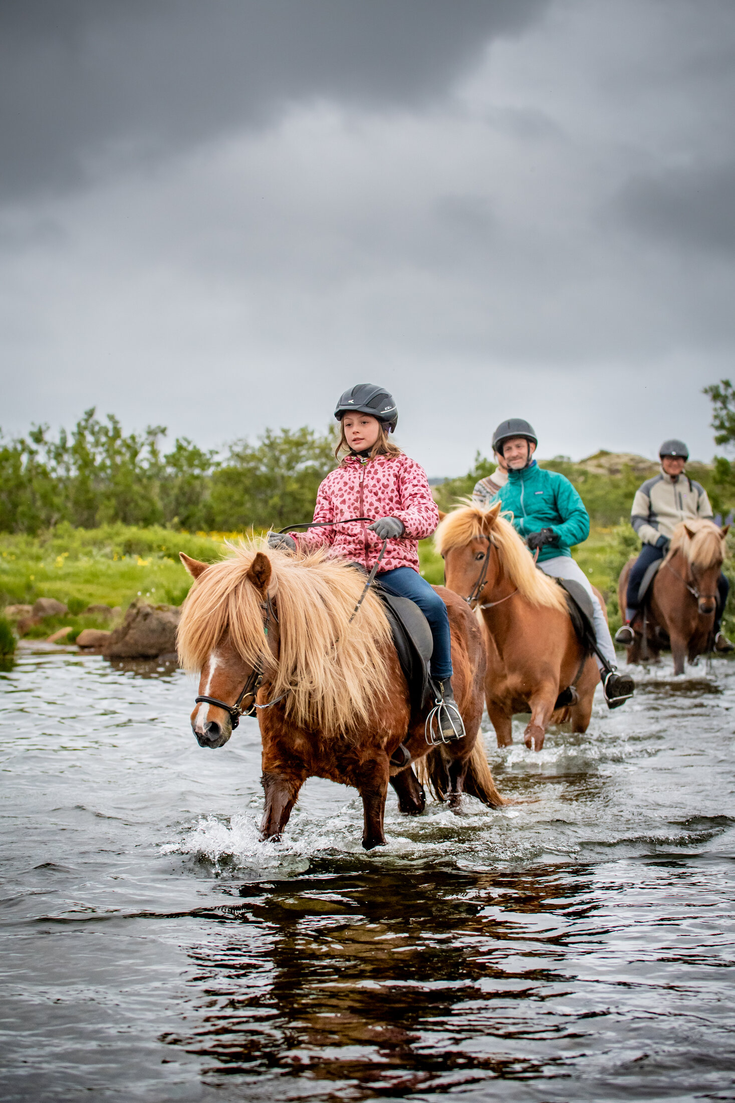 Icelandic Horse Tours from Reykjavik — photo 8