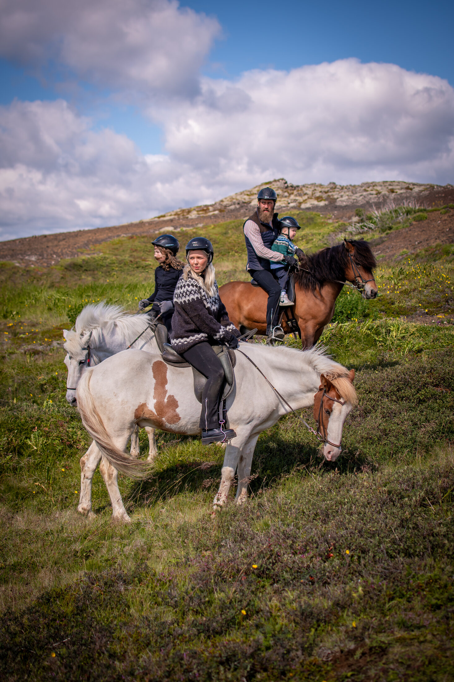 Icelandic Horse Tours from Reykjavik — photo 10