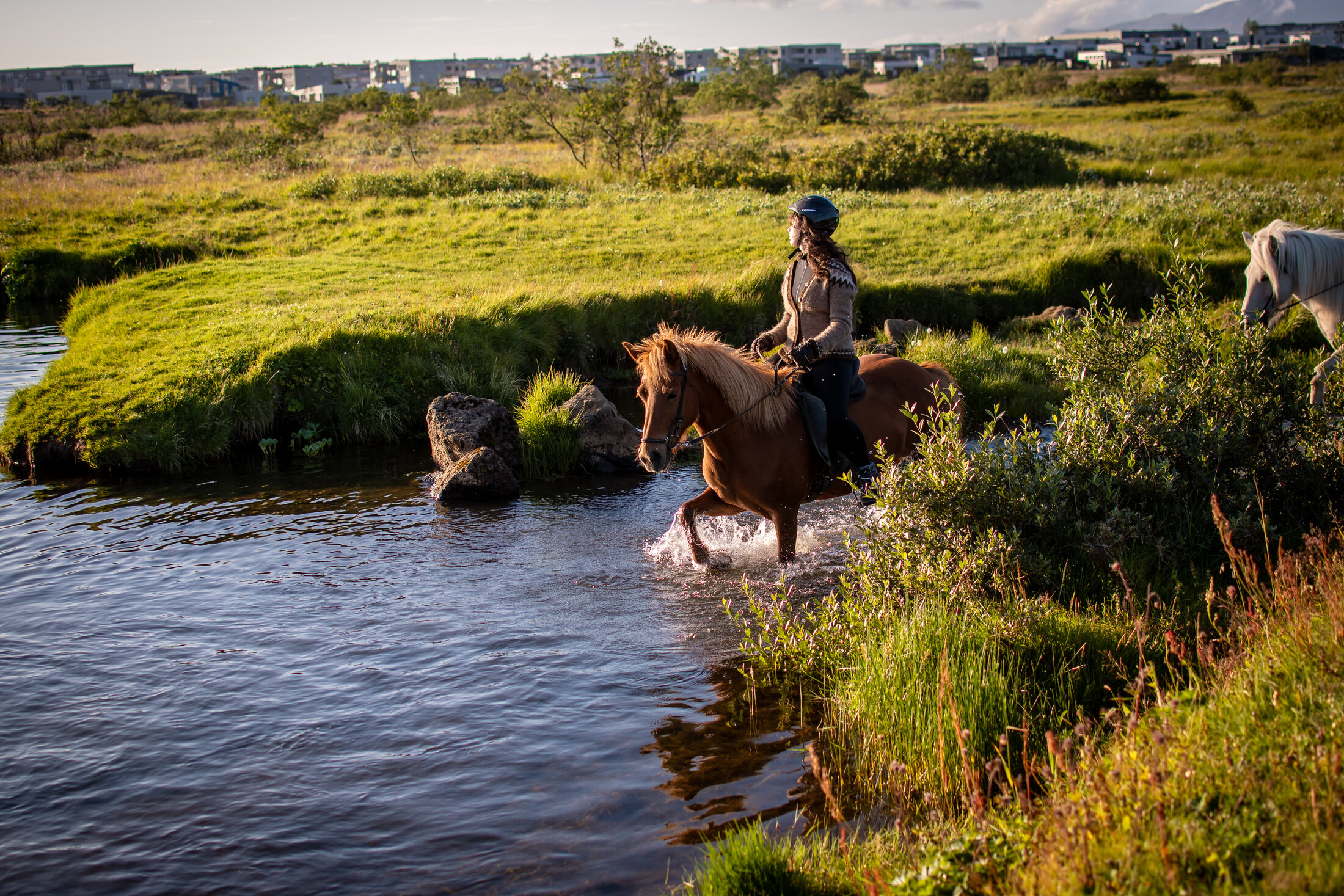 Icelandic Horse Tours from Reykjavik — photo 11