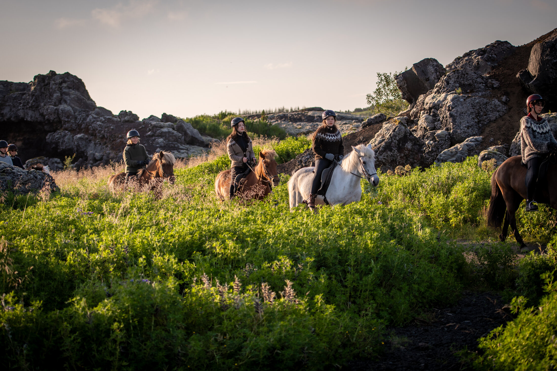 Icelandic Horse Tours from Reykjavik — photo 12