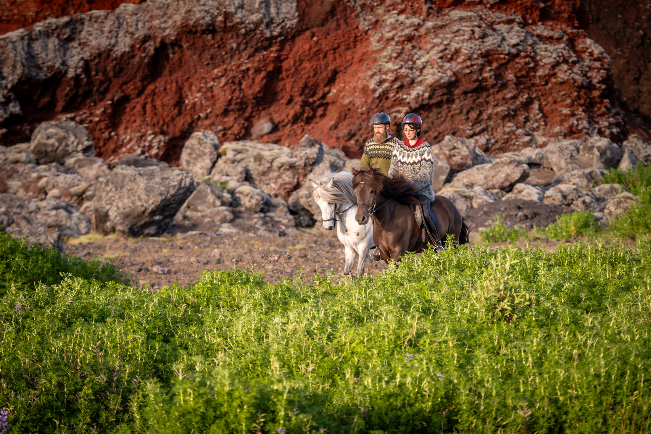 Icelandic Horse Tours from Reykjavik — photo 13