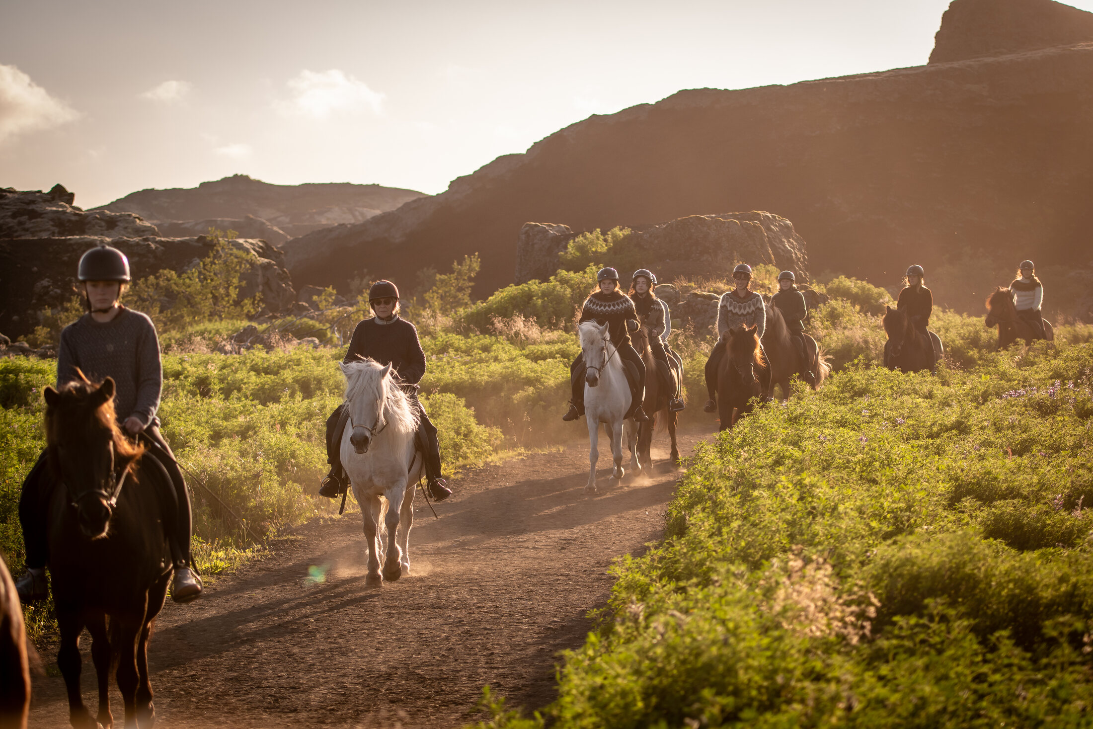 Icelandic Horse Tours from Reykjavik — photo 14