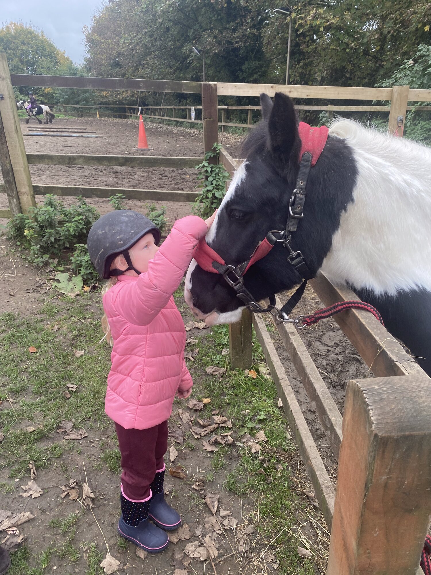 Old Town Riding School