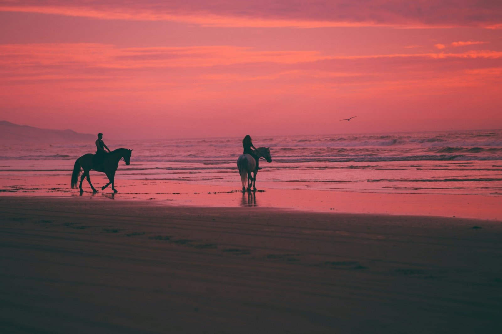 Studland Bay Sunset Ride