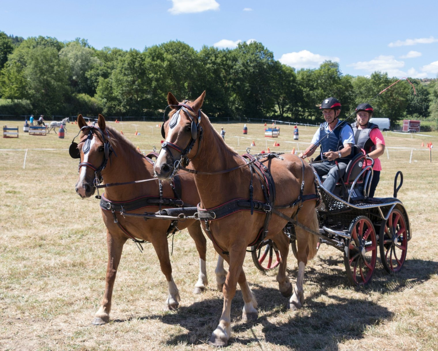 Carriage Driving for Two