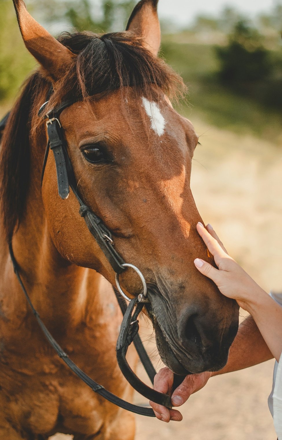 Chilterns Pub Hack for Two
