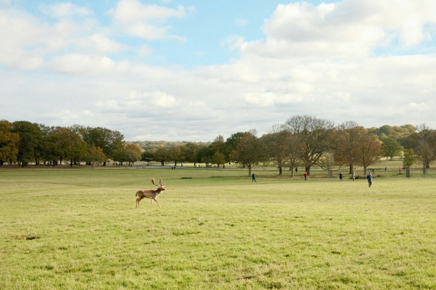 Richmond Park Pub Ride