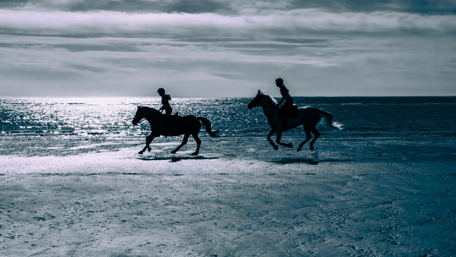 Swansea Bay Coastal Ride